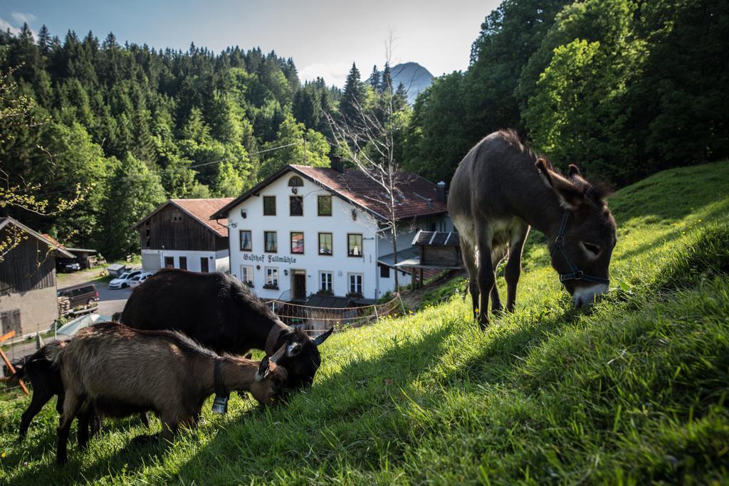 Gasthof Fallmuehle Pfronten Zewnętrze zdjęcie