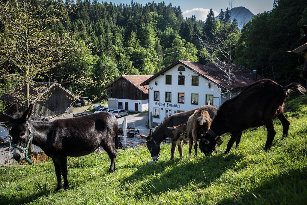 Gasthof Fallmuehle Pfronten Zewnętrze zdjęcie