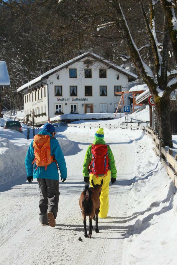 Gasthof Fallmuehle Pfronten Zewnętrze zdjęcie